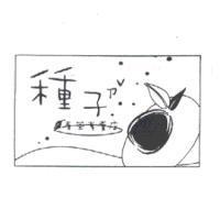 種子ㄗˇ青茶專賣店及圖