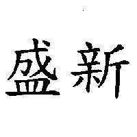 盛新
