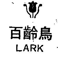 百齡鳥及鬱金香圖