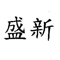 盛新
