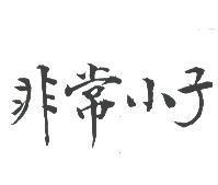 非常小子
