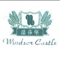 溫莎堡 Windsor Castle 及圖