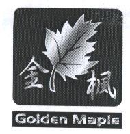 金楓及圖 Golden Maple