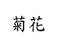 菊花