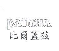 比爾蓋茲 PATICHA