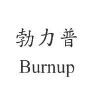 勃力普 Burnup