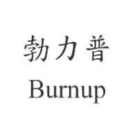 勃力普 Burnup