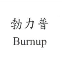 勃力普 Burnup