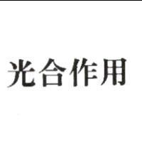 光合作用