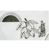聯富糖菓行標章