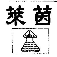 萊茵及圖 RHINE 