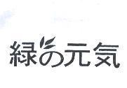 綠の元氣及圖