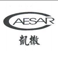 凱撒 CAESAR 及圖