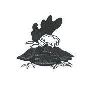 雞圖