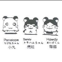 小丸 虎妞 每每 Penelope Sandy Howdy ちび丸ちゃん トラハムちゃん まいどくん及圖