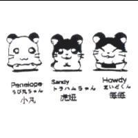 小丸 虎妞 每每 Penelope Sandy Howdy ちび丸ちゃん トラハムちゃん まいどくん及圖