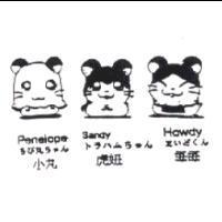 小丸 虎妞 每每 Penelope Sandy Howdy ちび丸ちゃんトラハムちゃん まいどくん及圖
