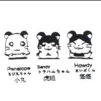 小丸 虎妞 每每 Penelope Sandy Howdy ちび丸ちやん トラハムちやん まいどくん及圖