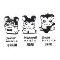 小眼鏡 細細 咚咚 Dexter Maxwell Jingle めがねくん のっぽくん トンガリくん及圖