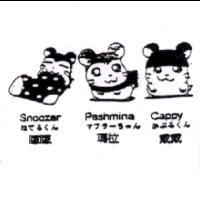 矇矇 Snoozer ねてるくん 瑪拉 Pashmina マフラ-ちゃん 戴戴 Cappy かぶるくん 及圖