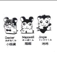 小眼鏡 細細 咚咚 Dexter Maxwell Jingle めがねくん のっぽくん トンガリくん及圖