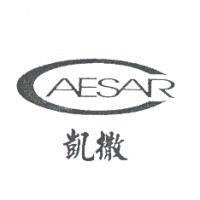 凱撒 CAESAR 及圖