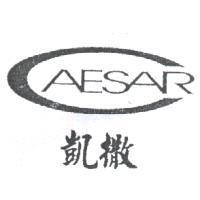 凱撒 CAESAR 及圖