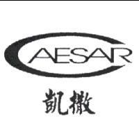 凱撒 CAESAR 及圖