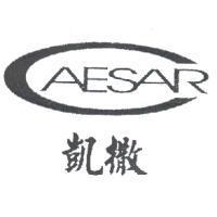 凱撒 CAESAR 及圖