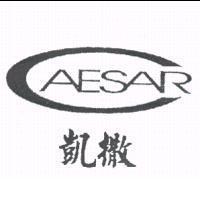 凱撒 CAESAR 及圖