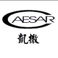 凱撒 CAESAR 及圖