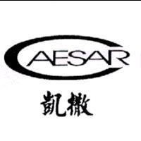 凱撒 CAESAR 及圖