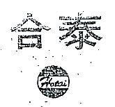 合泰及圖 HOTAI 