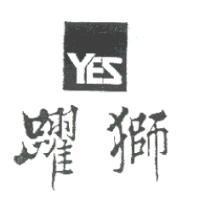 躍獅 YES 及圖