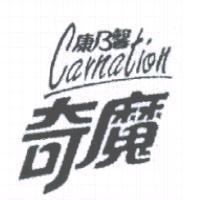 康乃馨奇魔 Carnation