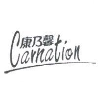 康乃馨 Carnation