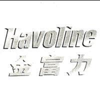 Havoline Design & 金富力