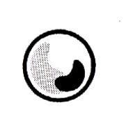 圓設計圖