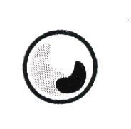 圓設計圖