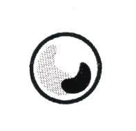圓設計圖