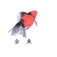 金魚及圖