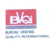 BVQI BUREAU VERITAS QUALITY INTERNATIONAL and design
