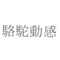 駱駝動感