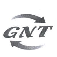 GNT 及圖