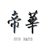 帝華 SUN RAYS 