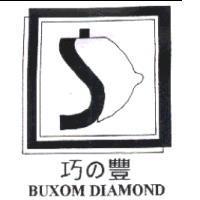 巧の豐 BUXOM DIAMOND 及圖