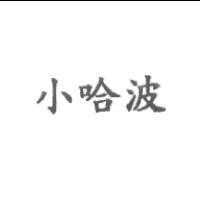 小哈波