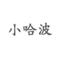 小哈波