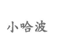 小哈波