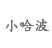 小哈波